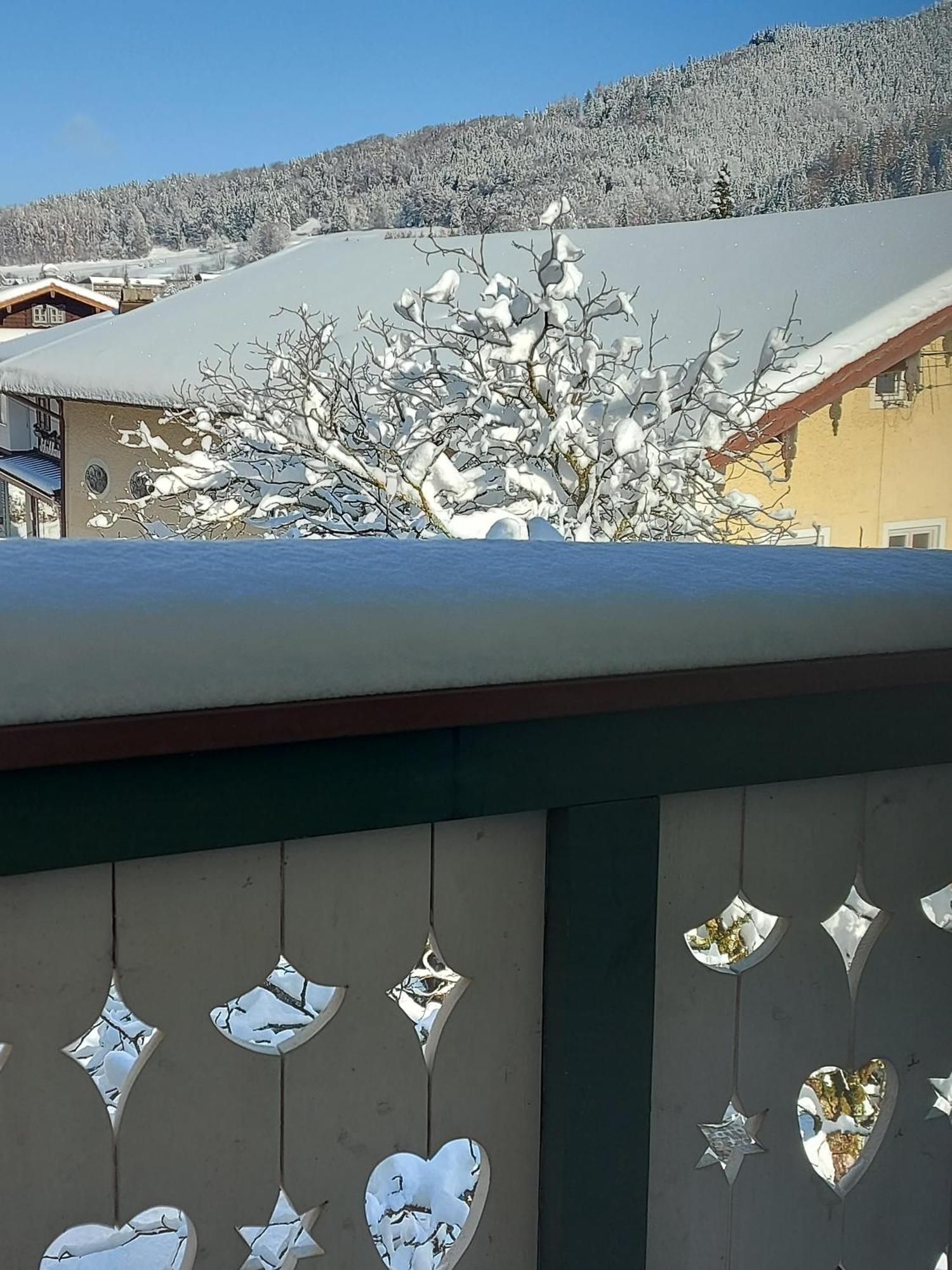 Ferienwohnungen Schneiderhaeusl Inkl. Chiemgaukarte Ruhpolding Extérieur photo