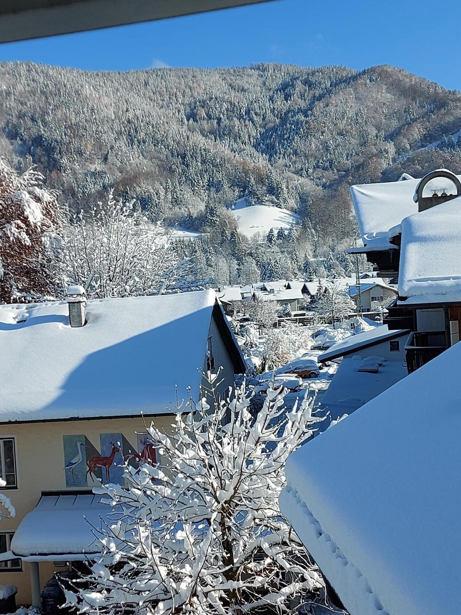 Ferienwohnungen Schneiderhaeusl Inkl. Chiemgaukarte Ruhpolding Extérieur photo